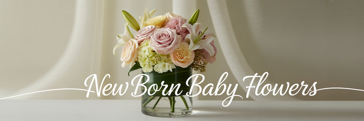 new born baby banner