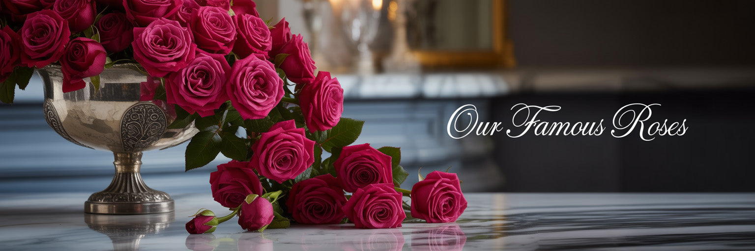 roses banner