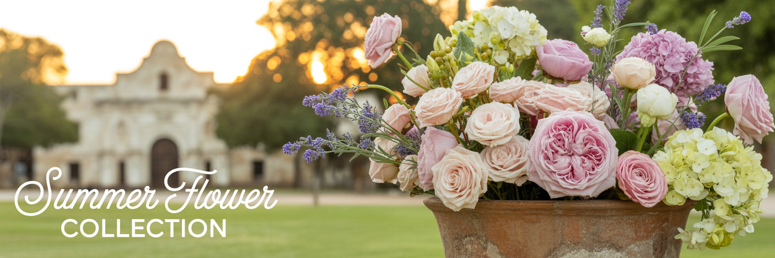 summer collection banner